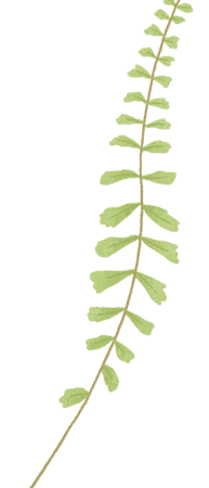 快樂食光-Joie-Joure-Cafe-png-15